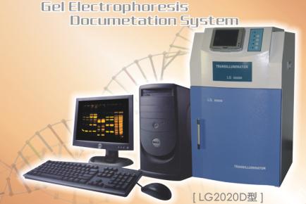 LG2020D型凝胶成像分析系统