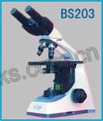 BS203΢